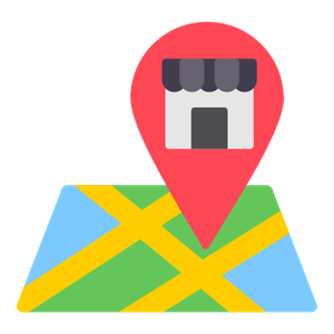 local SEO optimization